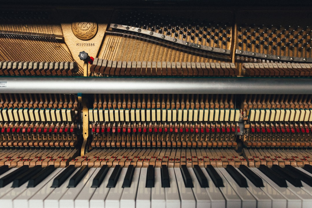 Photo pianists